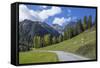 Road to Albula Pass, Graubunden, Swiss Alps, Switzerland, Europe-Angelo Cavalli-Framed Stretched Canvas