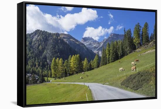 Road to Albula Pass, Graubunden, Swiss Alps, Switzerland, Europe-Angelo Cavalli-Framed Stretched Canvas