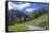 Road to Albula Pass, Graubunden, Swiss Alps, Switzerland, Europe-Angelo Cavalli-Framed Stretched Canvas