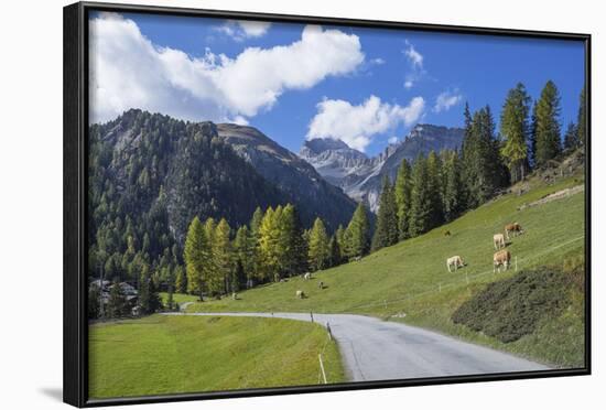 Road to Albula Pass, Graubunden, Swiss Alps, Switzerland, Europe-Angelo Cavalli-Framed Photographic Print