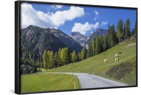 Road to Albula Pass, Graubunden, Swiss Alps, Switzerland, Europe-Angelo Cavalli-Framed Photographic Print