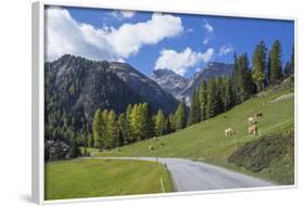 Road to Albula Pass, Graubunden, Swiss Alps, Switzerland, Europe-Angelo Cavalli-Framed Photographic Print