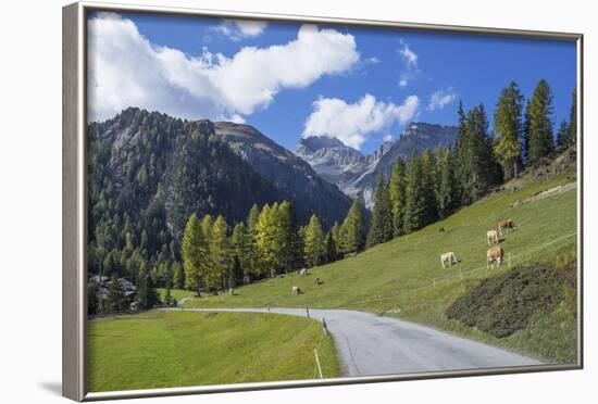 Road to Albula Pass, Graubunden, Swiss Alps, Switzerland, Europe-Angelo Cavalli-Framed Photographic Print