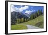 Road to Albula Pass, Graubunden, Swiss Alps, Switzerland, Europe-Angelo Cavalli-Framed Photographic Print