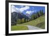 Road to Albula Pass, Graubunden, Swiss Alps, Switzerland, Europe-Angelo Cavalli-Framed Photographic Print