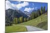 Road to Albula Pass, Graubunden, Swiss Alps, Switzerland, Europe-Angelo Cavalli-Mounted Photographic Print