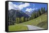 Road to Albula Pass, Graubunden, Swiss Alps, Switzerland, Europe-Angelo Cavalli-Framed Stretched Canvas