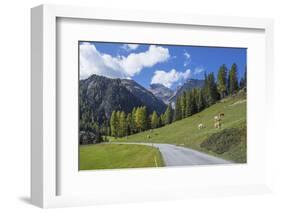 Road to Albula Pass, Graubunden, Swiss Alps, Switzerland, Europe-Angelo Cavalli-Framed Photographic Print