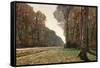 Road to Chailly-Claude Monet-Framed Stretched Canvas