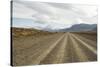 Road to El Chalten, Patagonia, Argentina, South America-Mark Chivers-Stretched Canvas