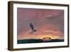 Road to Home-Zhang Yong Xu-Framed Giclee Print