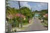 Road to Long Bay, St. Peter, Antigua, Leeward Islands, West Indies, Caribbean, Central America-Frank Fell-Mounted Photographic Print