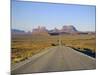 Road to Monument Valley, Navajo Reserve, Utah, USA-Adina Tovy-Mounted Photographic Print