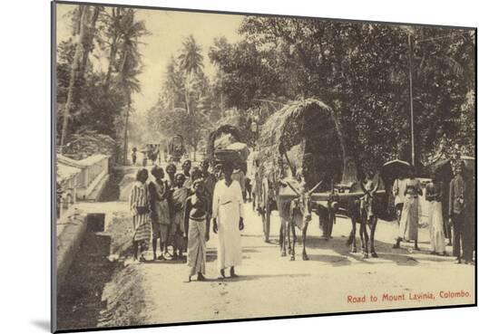 Photographic Print, , large