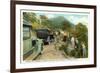 Road to Mt. Mitchell-null-Framed Art Print