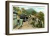 Road to Mt. Mitchell-null-Framed Art Print