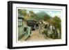 Road to Mt. Mitchell-null-Framed Art Print