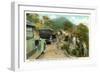 Road to Mt. Mitchell-null-Framed Art Print