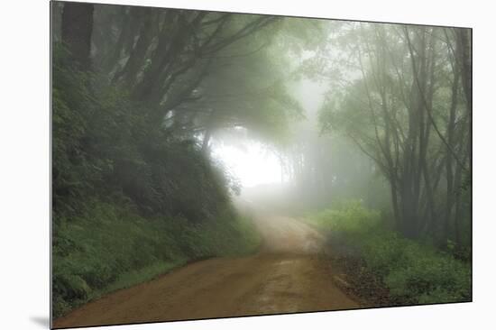 Road to Nowhere-Mike Jones-Mounted Art Print