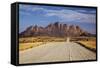 Road to Spitzkoppe, Namibia-David Wall-Framed Stretched Canvas