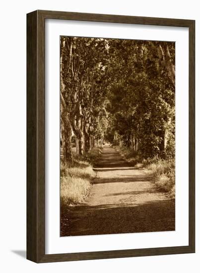 Road to St. Remy-Rachel Perry-Framed Art Print