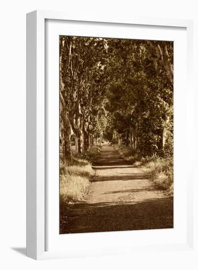 Road to St. Remy-Rachel Perry-Framed Art Print