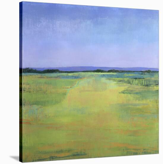 Road to the Mountains-Jeannie Sellmer-Stretched Canvas