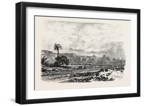 Road to the Petrified Forest. Egypt, 1879-null-Framed Giclee Print