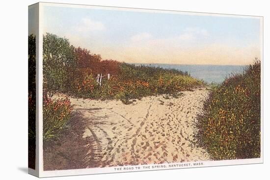 Road to the Spring, Nantucket, Massachusetts-null-Stretched Canvas