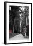 Road To The Temple-NaxArt-Framed Art Print