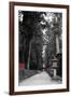 Road To The Temple-NaxArt-Framed Art Print