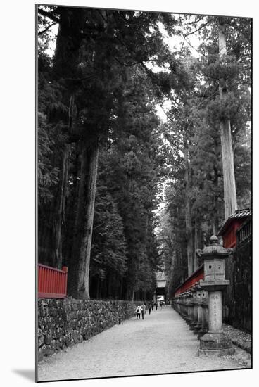 Road To The Temple-NaxArt-Mounted Art Print