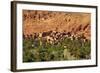 Road to Todra Gorge with Oasis, Tinghir, Morocco, North Africa, Africa-Neil-Framed Photographic Print