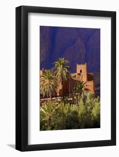 Road to Todra Gorge with Oasis, Tinghir, Morocco, North Africa, Africa-Neil-Framed Photographic Print