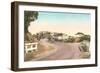 Road to Torrey Pines-null-Framed Art Print