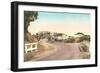 Road to Torrey Pines-null-Framed Art Print