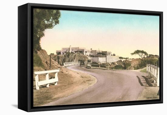 Road to Torrey Pines-null-Framed Stretched Canvas