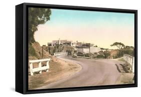 Road to Torrey Pines-null-Framed Stretched Canvas