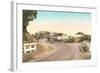 Road to Torrey Pines-null-Framed Art Print