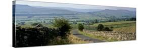 Road Towards Wensleydale Valley, Yorkshire Dales National Park, Yorkshire, England, United Kingdom-Patrick Dieudonne-Stretched Canvas