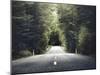 Road Travel Journey Nature Scenic Concept-Rawpixel com-Mounted Photographic Print