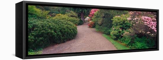 Road Traveling Through Fresh blooms in Spring, Kabota Gardens, Seattle, Washington, USA-Terry Eggers-Framed Stretched Canvas