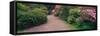 Road Traveling Through Fresh blooms in Spring, Kabota Gardens, Seattle, Washington, USA-Terry Eggers-Framed Stretched Canvas