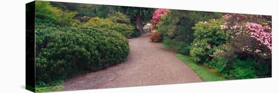 Road Traveling Through Fresh blooms in Spring, Kabota Gardens, Seattle, Washington, USA-Terry Eggers-Stretched Canvas