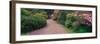 Road Traveling Through Fresh blooms in Spring, Kabota Gardens, Seattle, Washington, USA-Terry Eggers-Framed Photographic Print