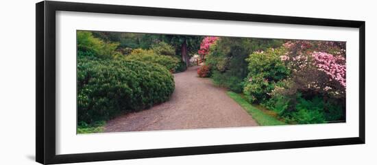 Road Traveling Through Fresh blooms in Spring, Kabota Gardens, Seattle, Washington, USA-Terry Eggers-Framed Photographic Print