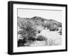 Road Trip II Crop-Elizabeth Urquhart-Framed Photographic Print