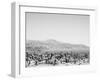 Road Trip IV Crop-Elizabeth Urquhart-Framed Photographic Print