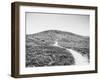 Road Trip V Crop-Elizabeth Urquhart-Framed Photographic Print