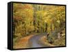 Road up Burke Mountain in Fall, East Burke, Vermont, USA-Darrell Gulin-Framed Stretched Canvas